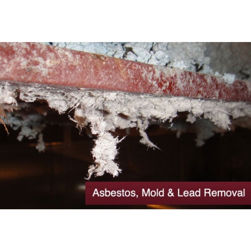 Asbestos, Lead Paint & Mold Exposure