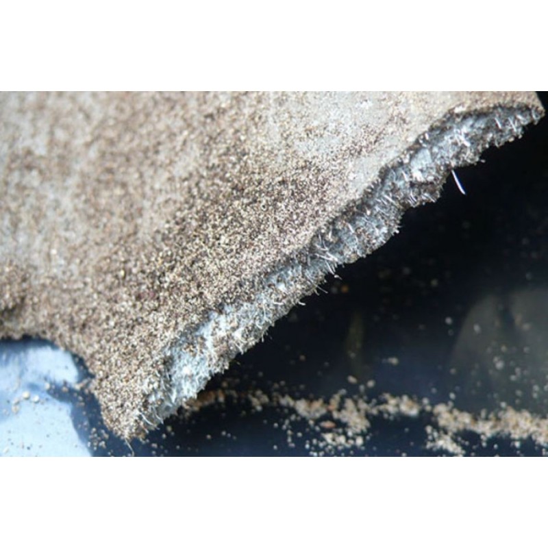 Asbestos Compliance Guide